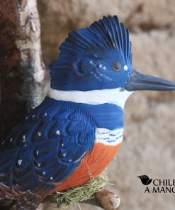 Aves chilenas en soporte de pared – Martín Pescador
