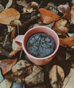 Fall leaves